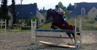 Clases de equitación 